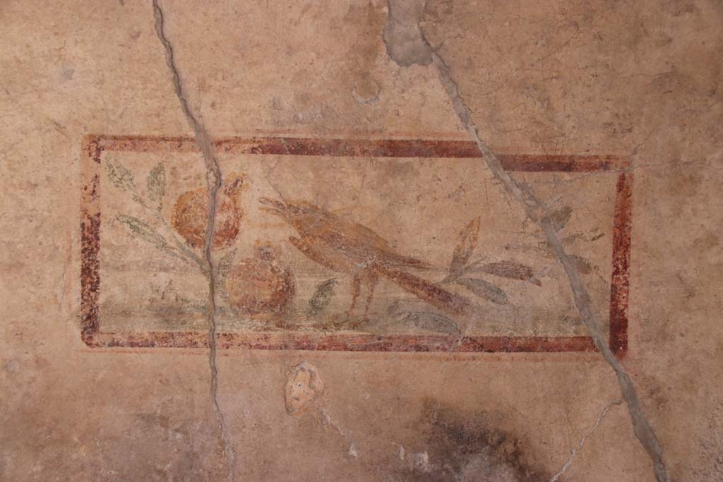 I.7.11 Pompeii. September 2021.
Wall painting of bird on north wall in cubiculum to south-east of atrium. Photo courtesy of Klaus Heese.