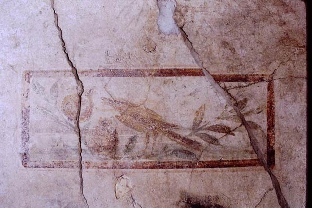I.7.11 Pompeii. 1968. Wall painting of bird on north wall in cubiculum to south-east of atrium.
Photo by Stanley A. Jashemski.
Source: The Wilhelmina and Stanley A. Jashemski archive in the University of Maryland Library, Special Collections (See collection page) and made available under the Creative Commons Attribution-Non Commercial License v.4. See Licence and use details.
J68f0422