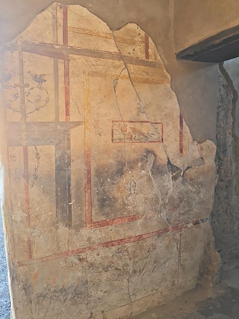 I.7.11 Pompeii. March 2024.
North wall of cubiculum to south-east of atrium, with doorway to triclinium, on right.
Photo courtesy of Giuseppe Ciaramella.