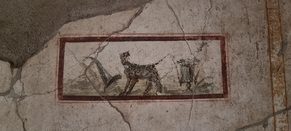 I.7.11 Pompeii. December 2023.
East wall of cubiculum to south-east of atrium, wall painting of the attributes of Dionysus, panther, cup and horn of plenty.
Photo courtesy of Miriam Colomer.