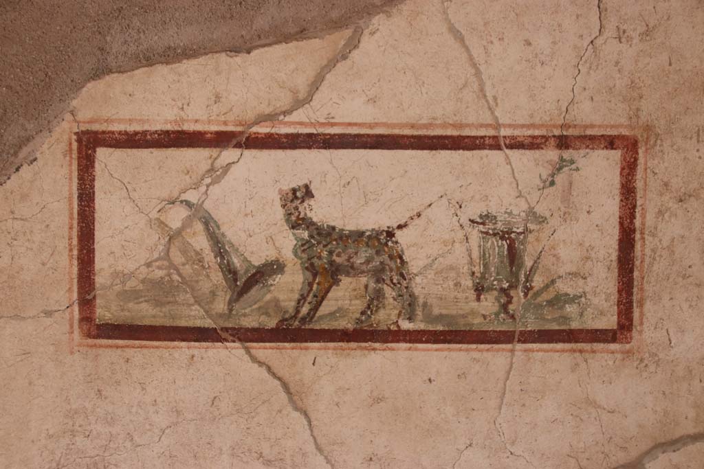 I.7.11 Pompeii. September 2021.
East wall of cubiculum to south-east of atrium, wall painting of the attributes of Dionysus, panther, cup and horn of plenty.
Photo courtesy of Klaus Heese.