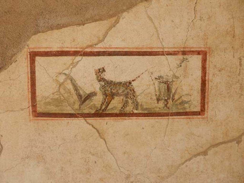 I.7.11 Pompeii. May 2017.
East wall of cubiculum to south-east of atrium, wall painting of panther, cup and cornucopia, the attributes of Dionysus. Photo courtesy of Buzz Ferebee.