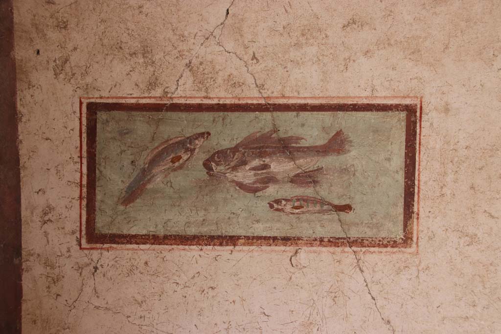 I.7.11 Pompeii. September 2021.
South wall of cubiculum to south-east of atrium, wall painting of fish from east end of south wall. Photo courtesy of Klaus Heese.