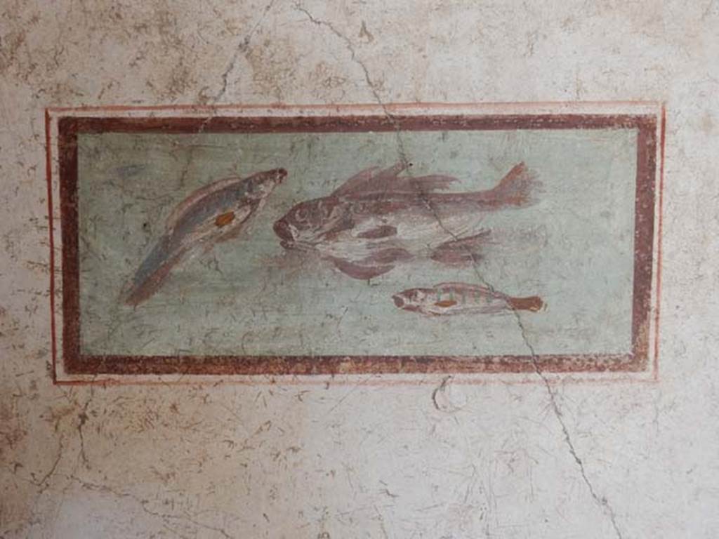 I.7.11 Pompeii. May 2017. Cubiculum to south-east of atrium. Wall painting of fish from east end of south wall.
Photo courtesy of Buzz Ferebee.