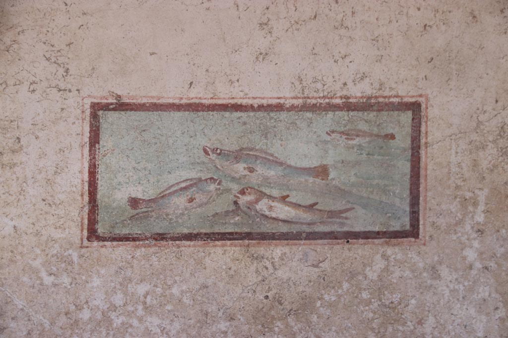 I.7.11 Pompeii. October 2023.
South wall of cubiculum to south-east of atrium, wall painting of fish from west end of south wall. Photo courtesy of Klaus Heese.