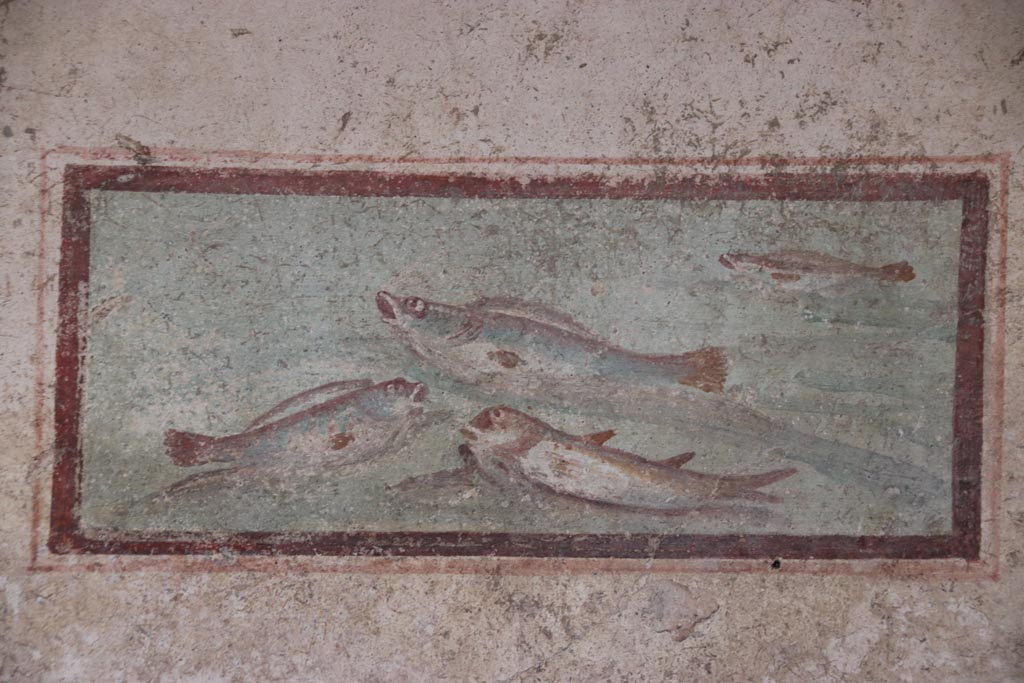 I.7.11 Pompeii. May 2024.
South wall of cubiculum to south-east of atrium, wall painting of fish from west end of south wall. Photo courtesy of Klaus Heese.