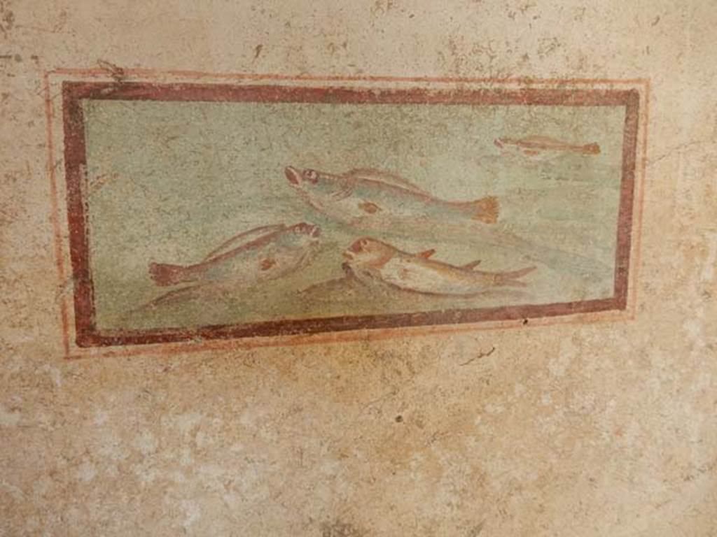 I.7.11 Pompeii. May 2017. Cubiculum to south-east of atrium. Wall painting of fish from west end of south wall
Photo courtesy of Buzz Ferebee.