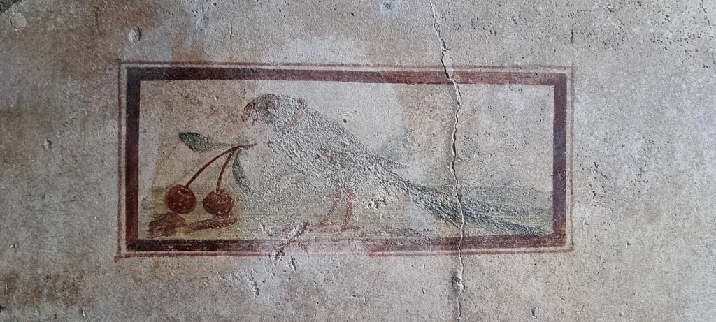 I.7.11 Pompeii. December 2023.
Wall painting of bird with cherry from north end of west wall of cubiculum. Photo courtesy of Miriam Colomer.