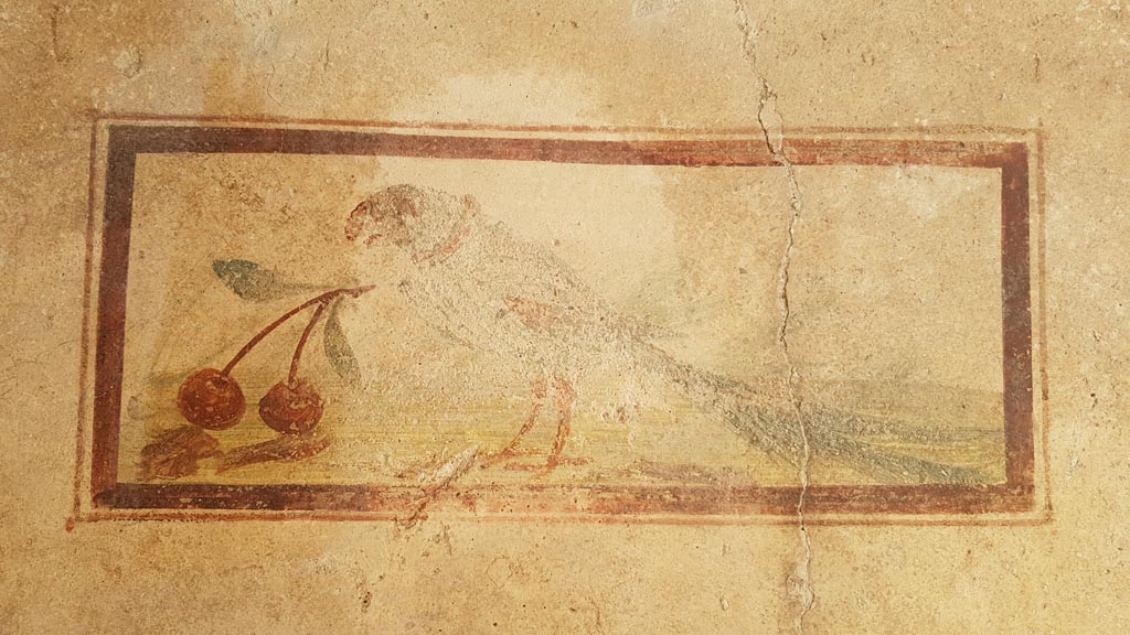 I.7.11 Pompeii. August 2023.
Wall painting of bird with cherry from north end of west wall of cubiculum. Photo courtesy of Maribel Velasco.