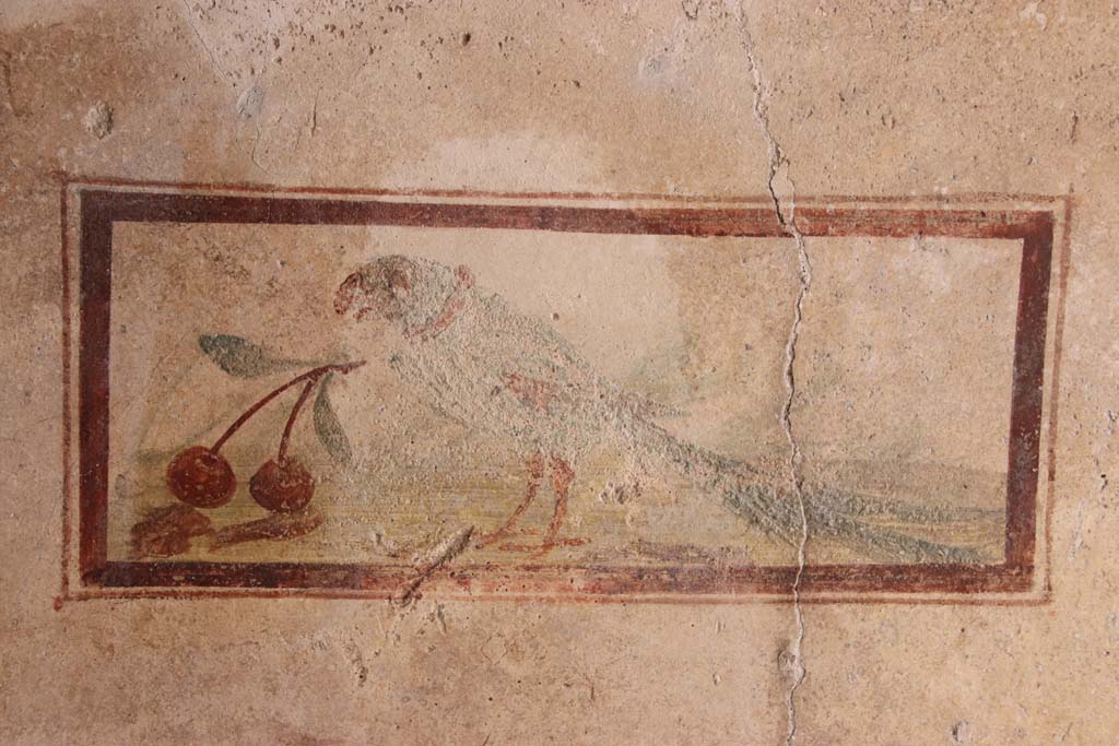 I.7.11 Pompeii. September 2021.
West wall of cubiculum to south-east of atrium, wall painting of bird with cherry. Photo courtesy of Klaus Heese.