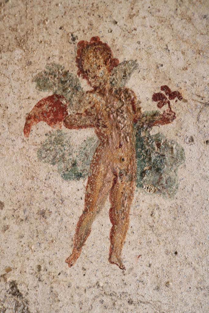 I.7.11 Pompeii. December 2018.
Detail of wall painting of flying cupid from west end of north wall of bedroom on west side of atrium.
Photo courtesy of Aude Durand.