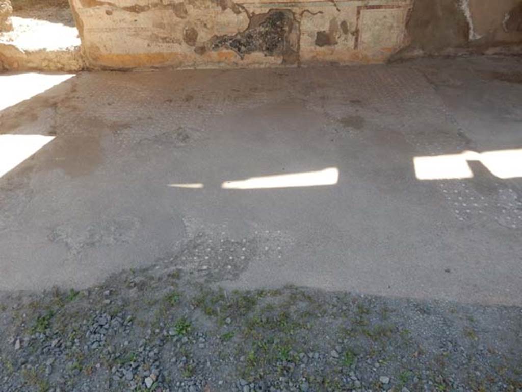I.7.11 Pompeii. May 2017. Looking west across flooring in tablinum.
Photo courtesy of Buzz Ferebee.