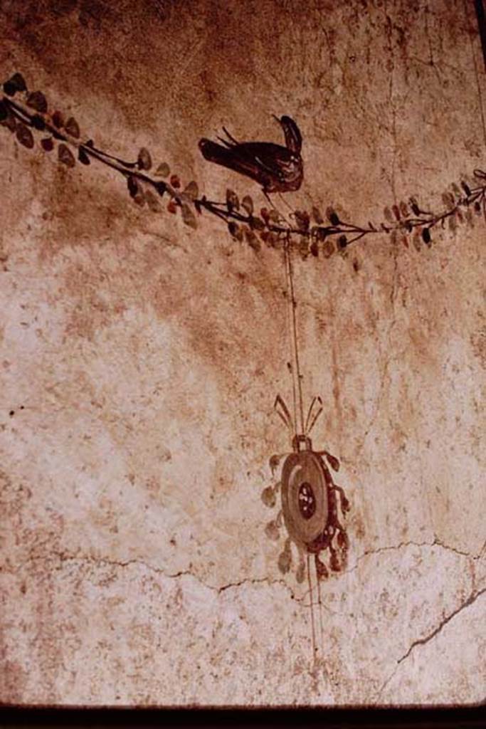 I.7.11 Pompeii. 1968. South wall of bath room, painted panel on east end of bird on a garland on which a tambourine was hanging.
Photo by Stanley A. Jashemski.
Source: The Wilhelmina and Stanley A. Jashemski archive in the University of Maryland Library, Special Collections (See collection page) and made available under the Creative Commons Attribution-Non Commercial License v.4. See Licence and use details.
J68f0423