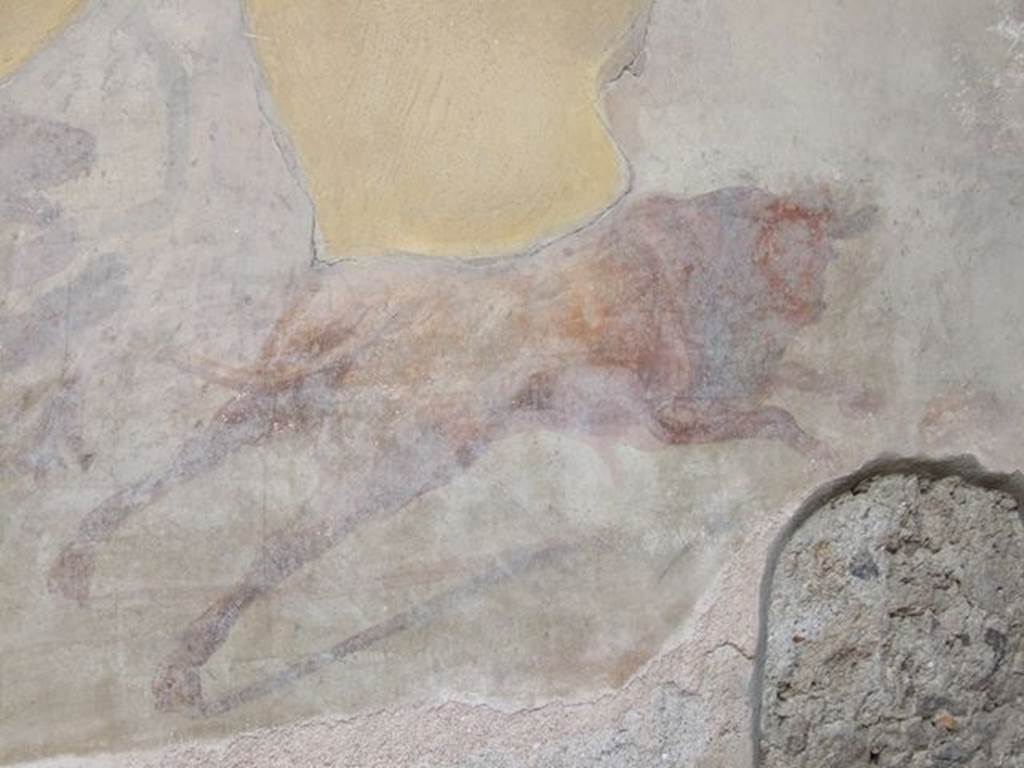 I.7.12 Pompeii. December 2006. Detail of wall painting of animal scene in south-west corner of garden.
The bull is still visible, followed by a bear (on the left), fleeing in a westerly direction where a lion waits.