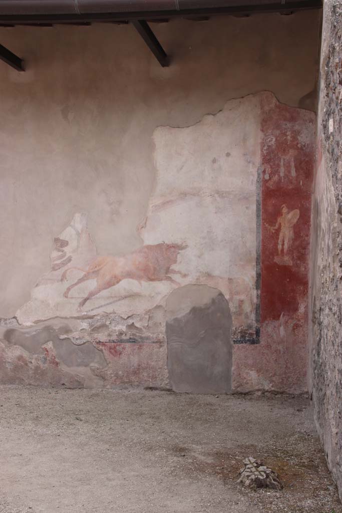 I.7.12 Pompeii. September 2021.
South wall and south-west corner with painting of bull in hunting scene, and naked armed warrior.
Photo courtesy of Klaus Heese.