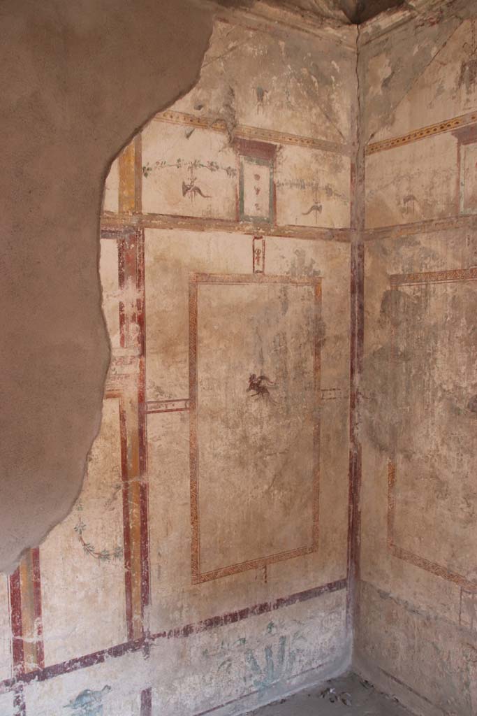 I.7.12 Pompeii. September 2021.
East wall of cubiculum in south-east corner. Photo courtesy of Klaus Heese.
