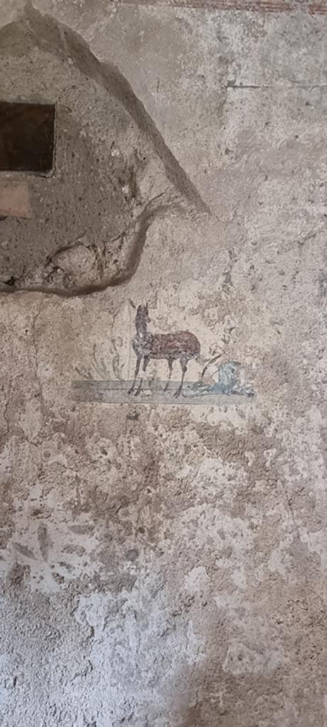 I.7.12 Pompeii. December 2023.
Detail from panel on south wall in south-west corner of cubiculum.
Photo courtesy of Miriam Colomer.