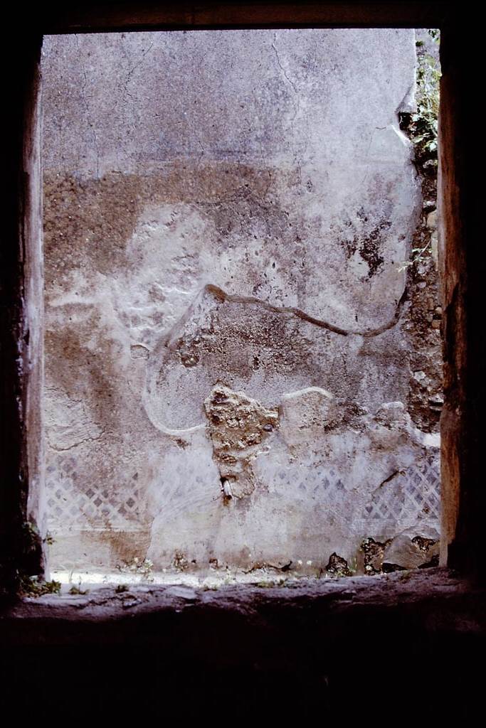 I.7.19 Pompeii. 1972.
Looking towards east wall at rear of tablinum window. Photo by Stanley A. Jashemski.
Source: The Wilhelmina and Stanley A. Jashemski archive in the University of Maryland Library, Special Collections (See collection page) and made available under the Creative Commons Attribution-Non-Commercial License v.4. See Licence and use details.
J72f0098