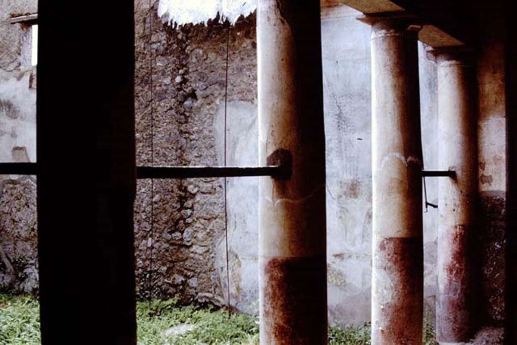 I.7.19 Pompeii. 1972. Looking south-west across portico into garden. Photo by Stanley A. Jashemski.
Source: The Wilhelmina and Stanley A. Jashemski archive in the University of Maryland Library, Special Collections (See collection page) and made available under the Creative Commons Attribution-Non Commercial License v.4. See Licence and use details. J72f0104