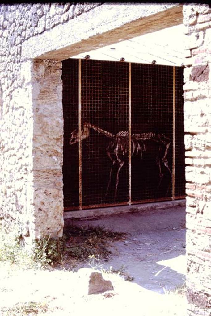 I.8.12 Pompeii. Pompeii. 1972. Entrance doorway, with “break” in pavement permitting entry of carts. Photo by Stanley A. Jashemski.
Source: The Wilhelmina and Stanley A. Jashemski archive in the University of Maryland Library, Special Collections (See collection page) and made available under the Creative Commons Attribution-Non Commercial License v.4. See Licence and use details. J72f0133