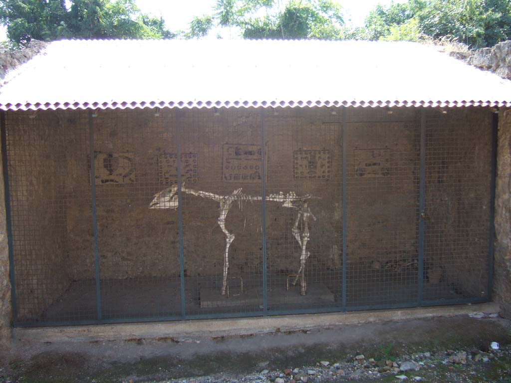 I.8.12 Pompeii. September 2005.
Skeleton of horse, or donkey, with remains of skeleton laying in south-west corner of stable, on right.