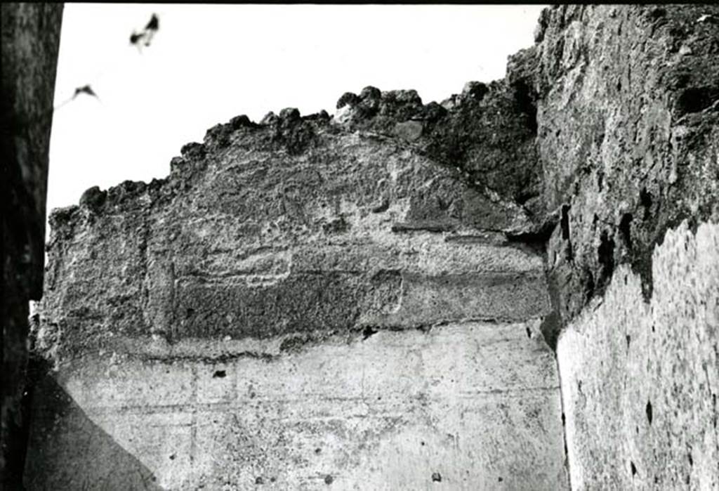 I.8.13 Pompeii. 1975. Shop House, 1st room on W side, lunette on W wall. Photo courtesy of Anne Laidlaw.
American Academy in Rome, Photographic Archive. Laidlaw collection _P_75_5_12.