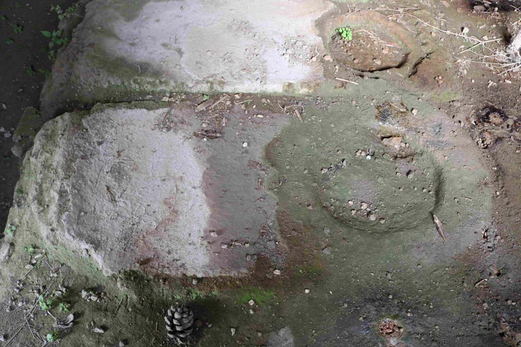 I.8.15-16 Pompeii. December 2018. Detail of plant for production of pigments. Photo courtesy of Aude Durand.