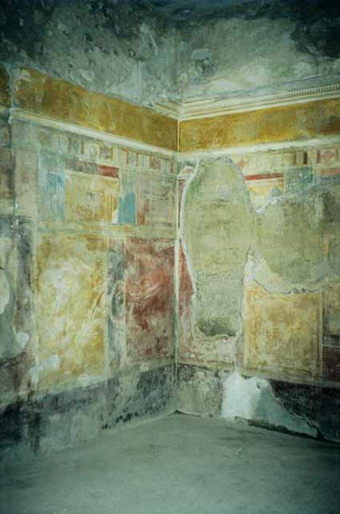 I.8.17 Pompeii. June 2010. Room 9, north-east corner.
Photo courtesy of Rick Bauer.