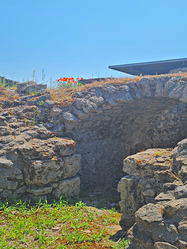 I.8.19 Pompeii. June 2024. Looking east towards lower level. Photo courtesy of Giuseppe Ciaramella.