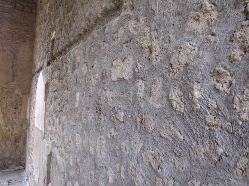 I.9.1 Pompeii. March 2009. Room 7. Tablinum. West wall.