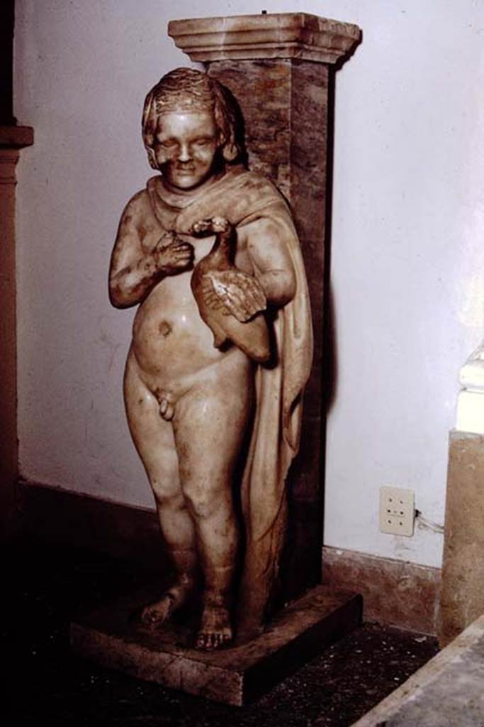 I.9.3 Pompeii, 1978. Statue of small boy with dove.
Photo by Stanley A. Jashemski.
Source: The Wilhelmina and Stanley A. Jashemski archive in the University of Maryland Library, Special Collections (See collection page) and made available under the Creative Commons Attribution-Non Commercial License v.4. See Licence and use details.
J78f0012
According to Wilhelmina, this statue served as a table base. SAP inventory number 20395.
See Jashemski, W. F., 1993. The Gardens of Pompeii, Volume II: Appendices. New York: Caratzas. (p. 44).
