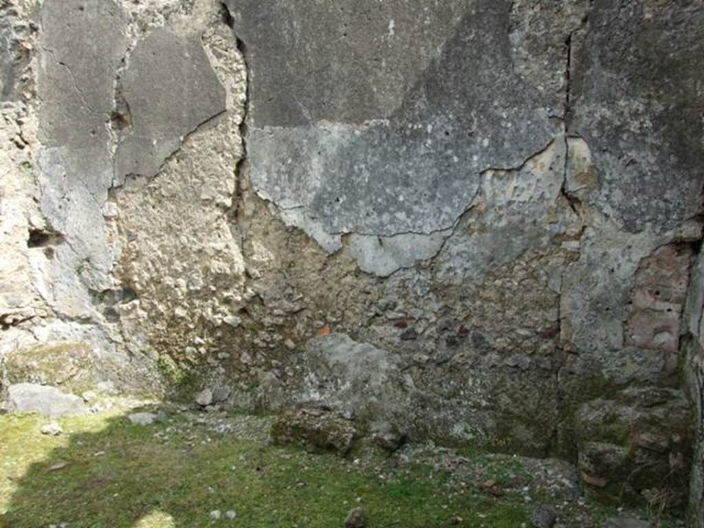 I.9.3 Pompeii. March 2009. Room 9. East wall.