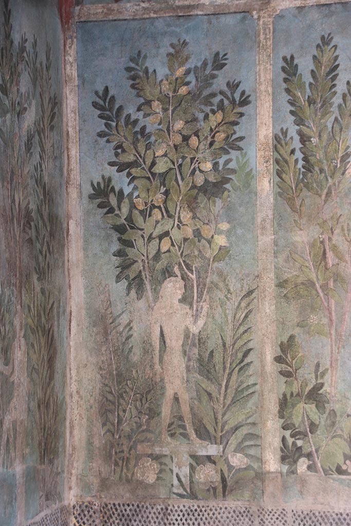 I.9.5 Pompeii. October 2024.
Room 5, painting of Egyptian pharaonic statue and lemon tree from north end of east wall of cubiculum.
Photo courtesy of Klaus Heese