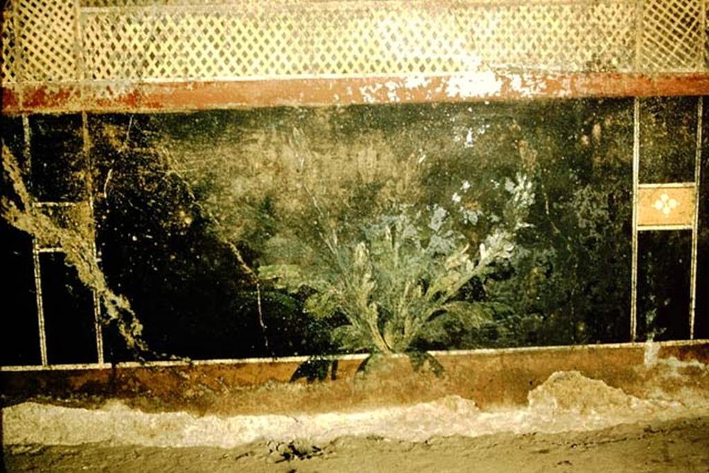 I.9.5 Pompeii. 1957. Room 5, painted plant in centre of zoccolo of east wall of cubiculum.
Photo by Stanley A. Jashemski.
Source: The Wilhelmina and Stanley A. Jashemski archive in the University of Maryland Library, Special Collections (See collection page) and made available under the Creative Commons Attribution-Non Commercial License v.4. See Licence and use details.
J57f0218