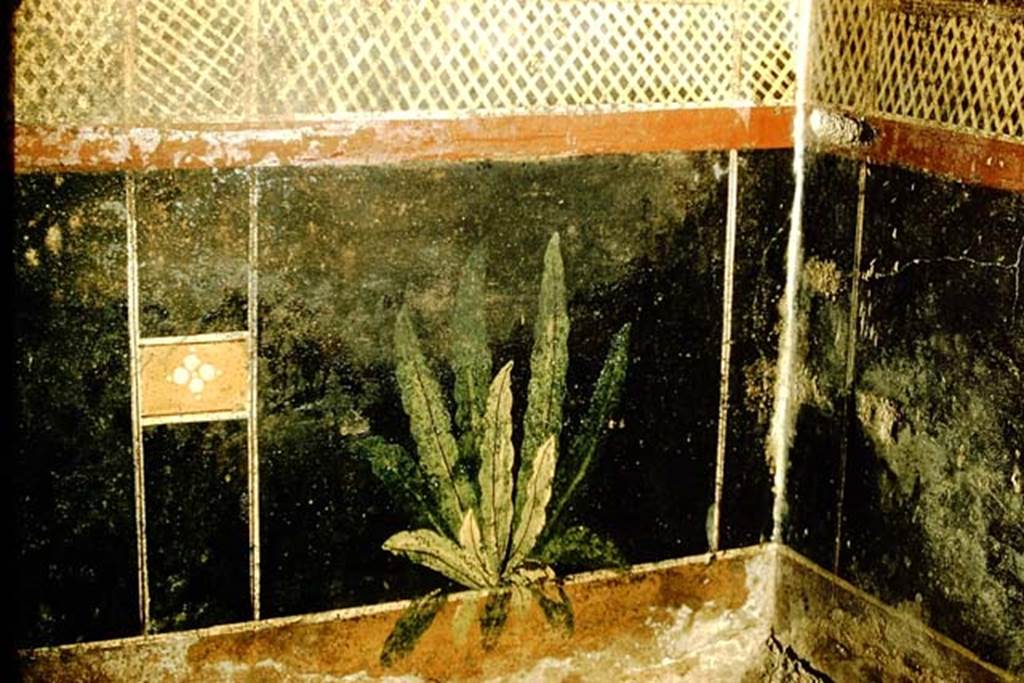 I.9.5 Pompeii. 1957. Room 5, painted plant in zoccolo at south end of east wall of cubiculum.
Photo by Stanley A. Jashemski.
Source: The Wilhelmina and Stanley A. Jashemski archive in the University of Maryland Library, Special Collections (See collection page) and made available under the Creative Commons Attribution-Non Commercial License v.4. See Licence and use details.
J57f0216