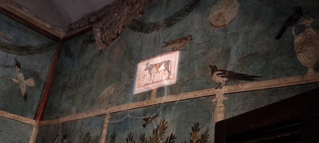 I.9.5 Pompeii. December 2023. Room 5, cubiculum, detail from upper south wall. Photo courtesy of Miriam Colomer.