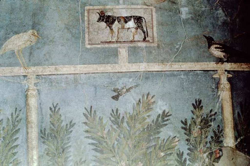 1.9.5 Pompeii. 1961. Room 5, detail from upper part of south wall. Photo by Stanley A. Jashemski.
Source: The Wilhelmina and Stanley A. Jashemski archive in the University of Maryland Library, Special Collections (See collection page) and made available under the Creative Commons Attribution-Non Commercial License v.4. See Licence and use details.
J61f0729