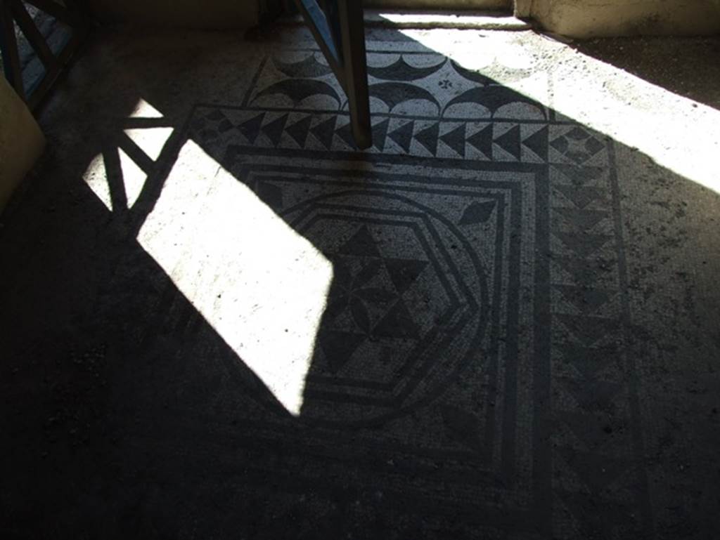 I.9.5 Pompeii. March 2009. Room 5. Cubiculum. Mosaic floor.