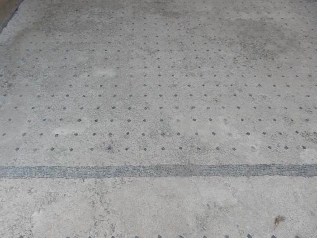 I.9.5 Pompeii. May 2016. Room 6, restored floor. Photo courtesy of Buzz Ferebee.