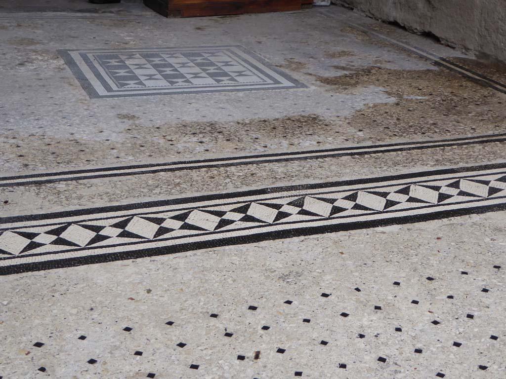 I.9.5 Pompeii. January 2017. Room 8, looking south across mosaic doorway threshold and flooring in tablinum, from atrium flooring.
Foto Annette Haug, ERC Grant 681269 DÉCOR.