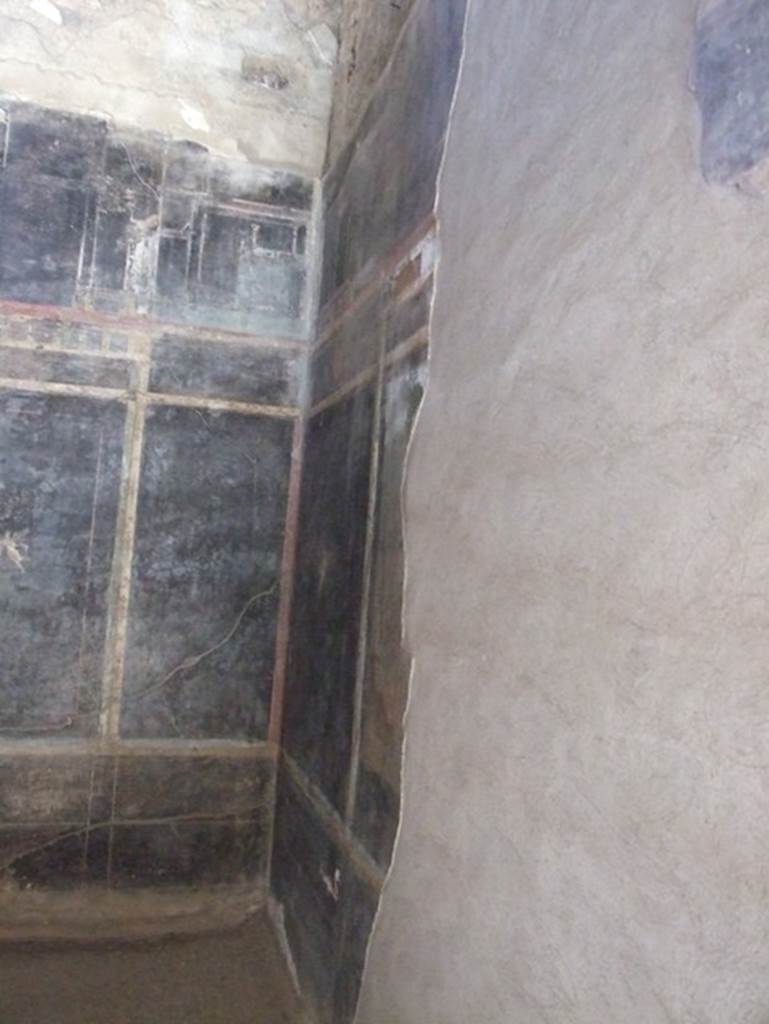 I.9.5 Pompeii. March 2009. Room 10, triclinium. South wall, looking into south-east corner.