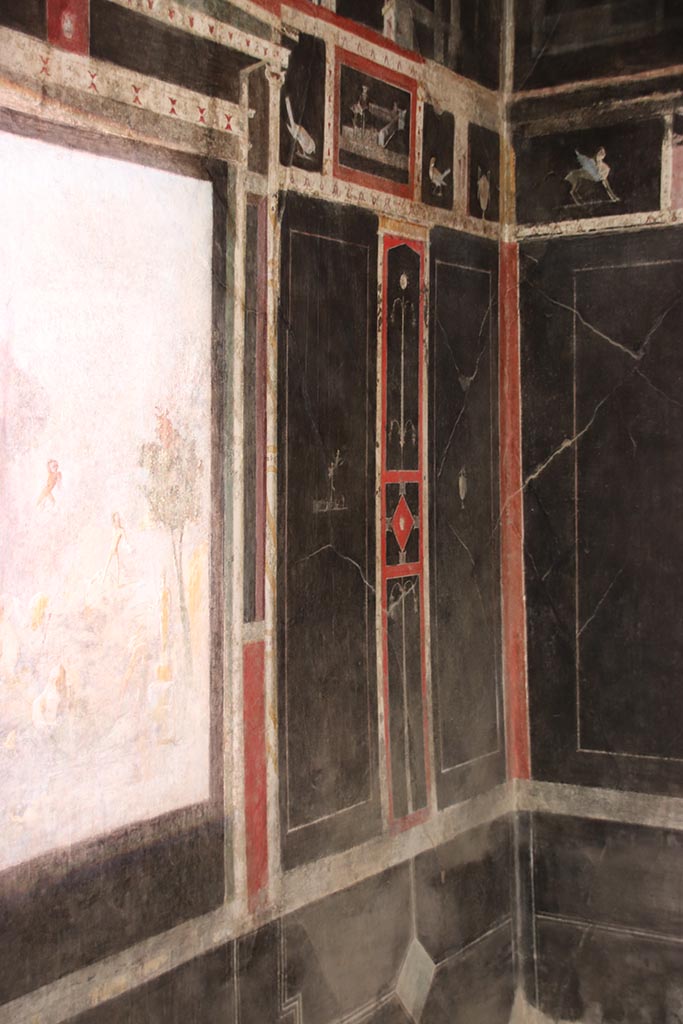 I.9.5 Pompeii. October 2024.
Room 10, north-west corner of triclinium. Photo courtesy of Klaus Heese
