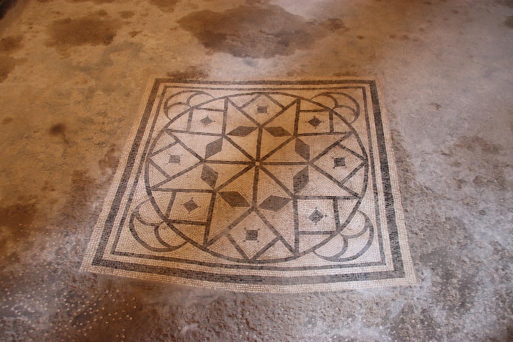 I.9.5 Pompeii. October 2023. Room 10, triclinium. Mosaic floor. Photo courtesy of Klaus Heese.