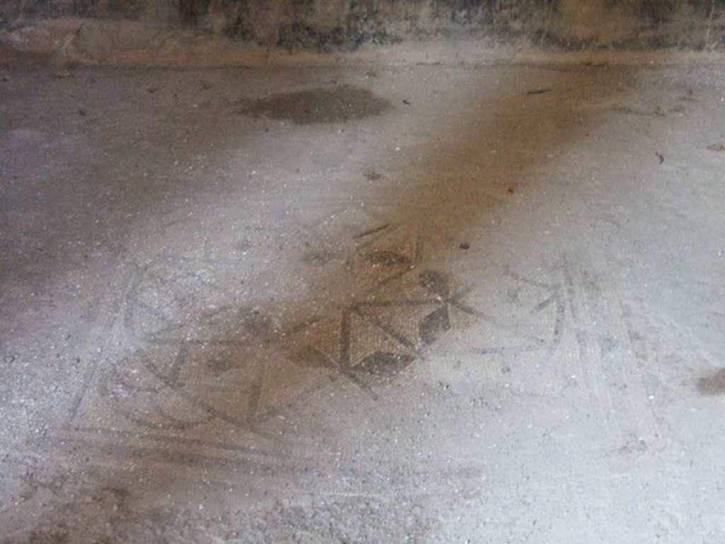 I.9.5 Pompeii. March 2009. Room 10. Triclinium. Mosaic floor..
