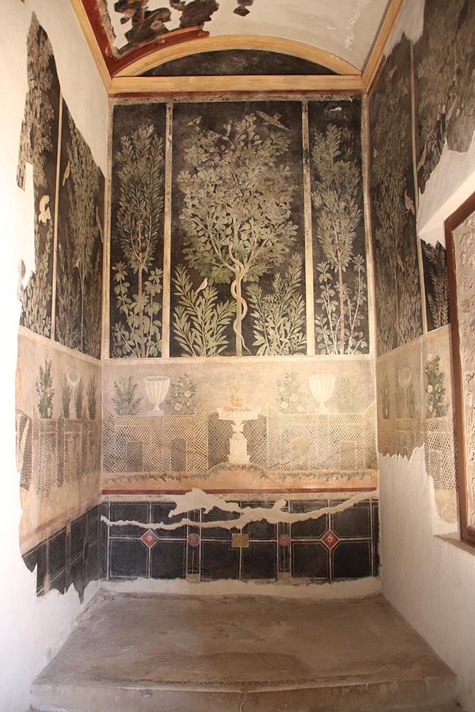 I.9.5 Pompeii. October 2024. Room 11, looking towards east wall. Photo courtesy of Klaus Heese
