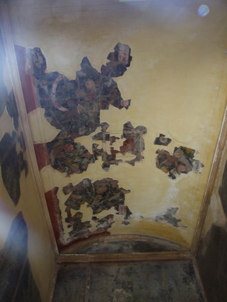 I.9.5 Pompeii. March 2009. Room 11, cubiculum. Ceiling.
In the centre of the black barrel-vaulted ceiling, Kuivalainen describes –
“A youth riding a panther from left to right. His upper body is depicted frontally; his right hand is outstretched, the left hangs down holding a thyrsus. He has a wreath on his head, and his red cloak covers his legs and his left forearm. Both of the panther’s forelegs are raised; his neck is long, and the head is turned right towards the viewer.”
Kuivalainen comments –
“The riding figure is attired similarly to most young half-naked depictions of Bacchus……..In this house all the themes are connected to Bacchus and Egyptian gods.
See Kuivalainen, I., 2021. The Portrayal of Pompeian Bacchus. Commentationes Humanarum Litterarum 140. Helsinki: Finnish Society of Sciences and Letters, (p.121-2, C23).