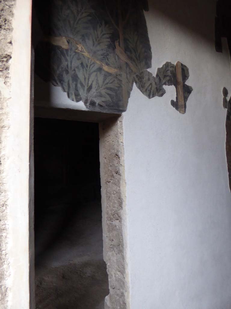 I.9.5 Pompeii. January 2017. Room 11, west end of north wall with doorway to room 10.
Foto Annette Haug, ERC Grant 681269 DÉCOR.