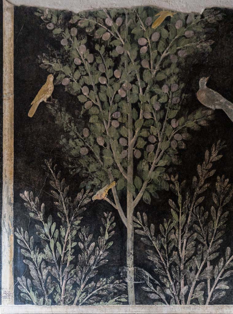 I.9.5 Pompeii. April 2022.
Room 11, painting from upper north wall at east end. Photo courtesy of Johannes Eber.