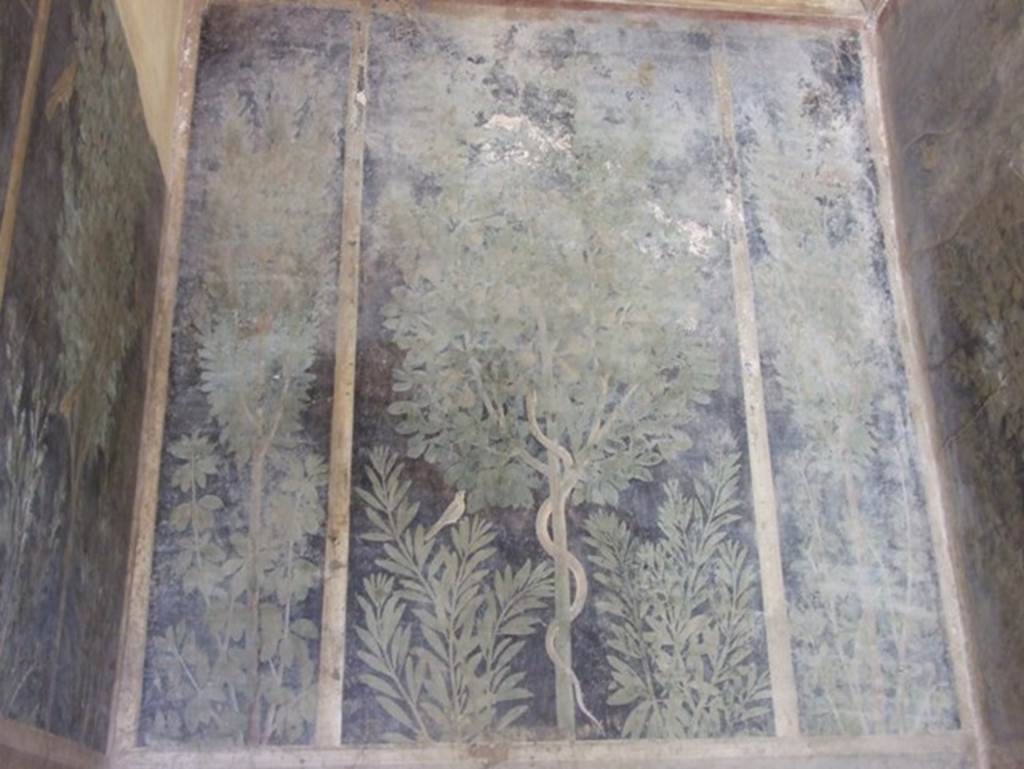 I.9.5 Pompeii. March 2009. Room 11.Cubiculum. East wall. Painting of a snake in a fig tree with birds.