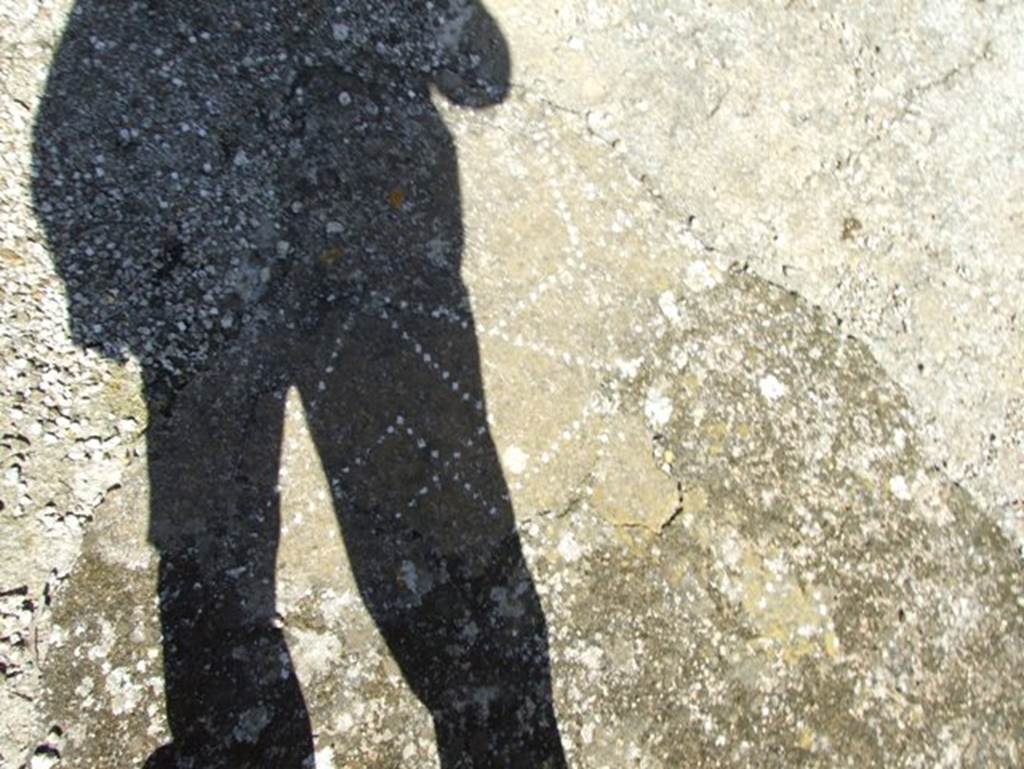 I.9.5 Pompeii. March 2009. Room 12. Portico floor.
